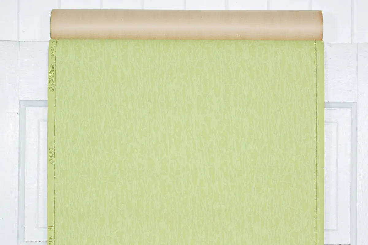 1950s Fine Graphics Vintage Wallpaper
