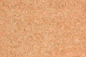 1970s Fine Graphics Cork Vintage Wallpaper