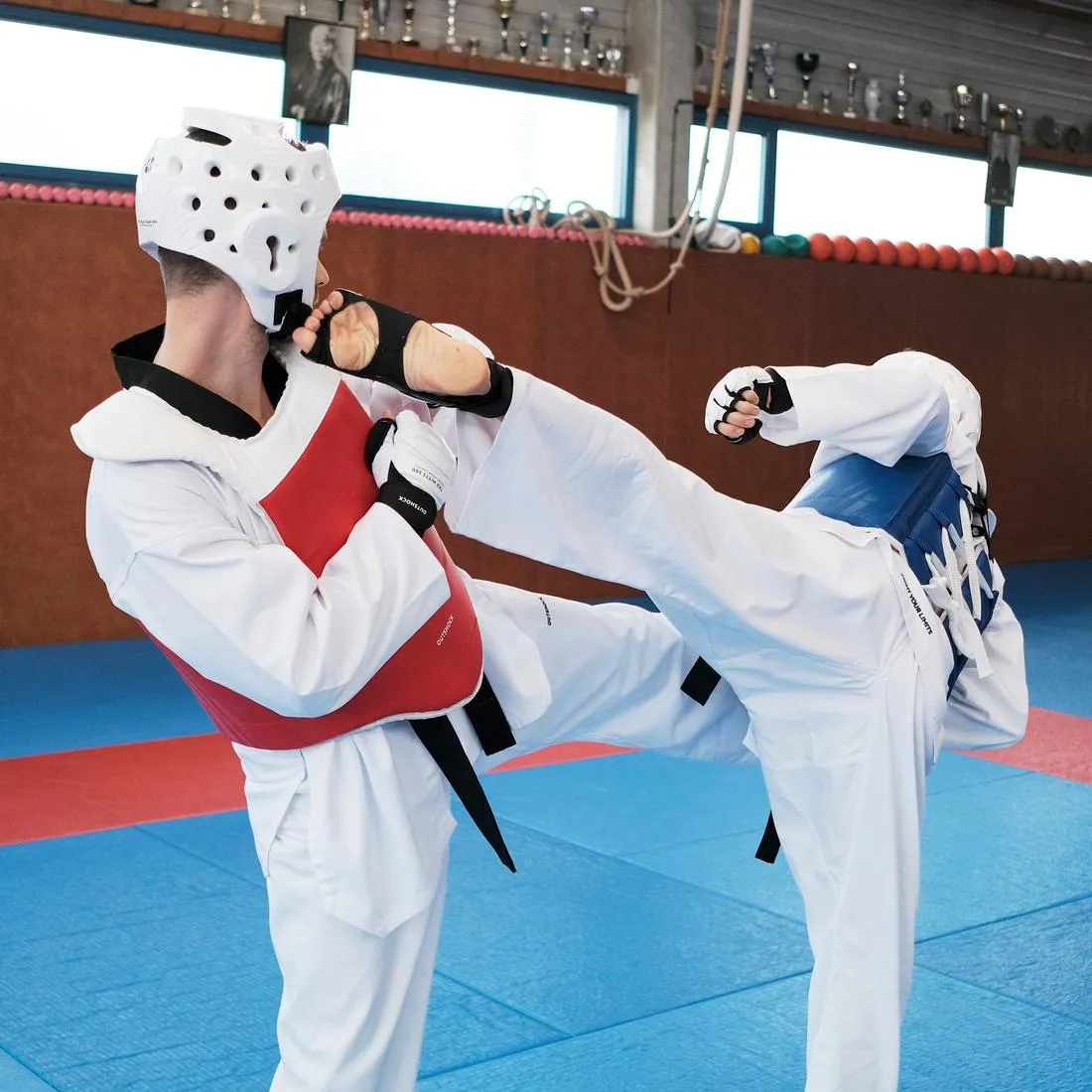 Adult Taekwondo Reversible Chest Guard 500