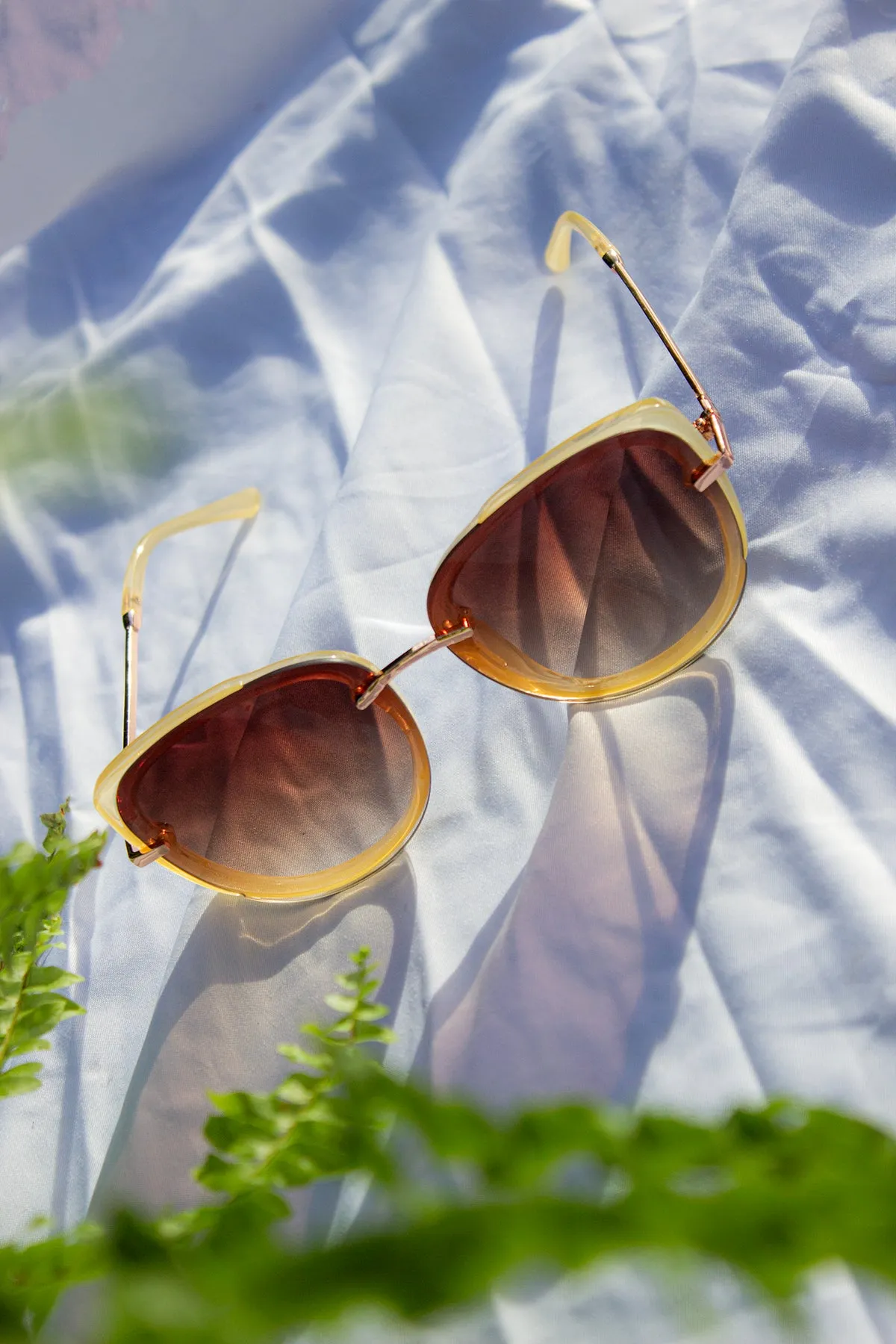 Front Lens Oversized Sunglasses