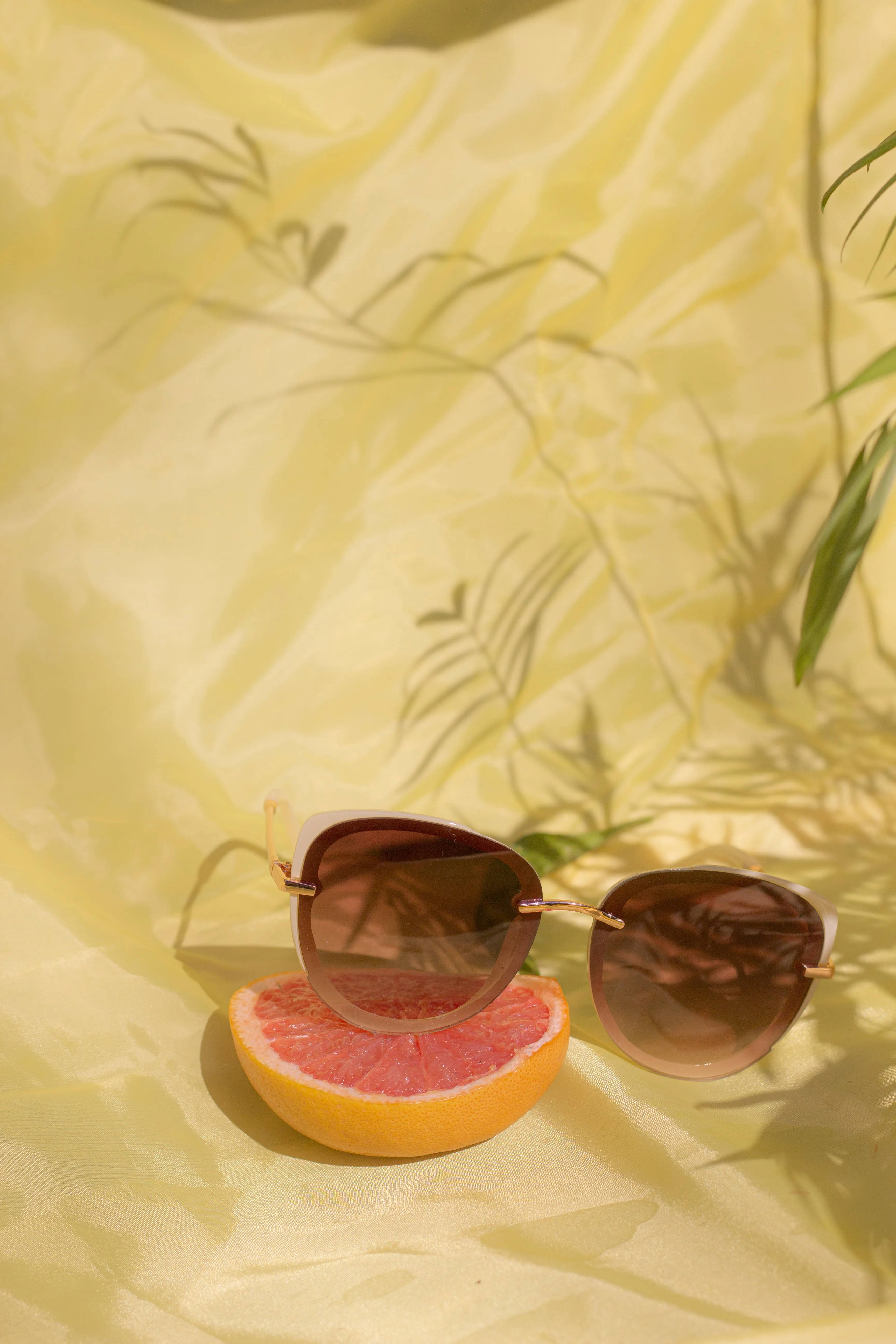 Front Lens Oversized Sunglasses