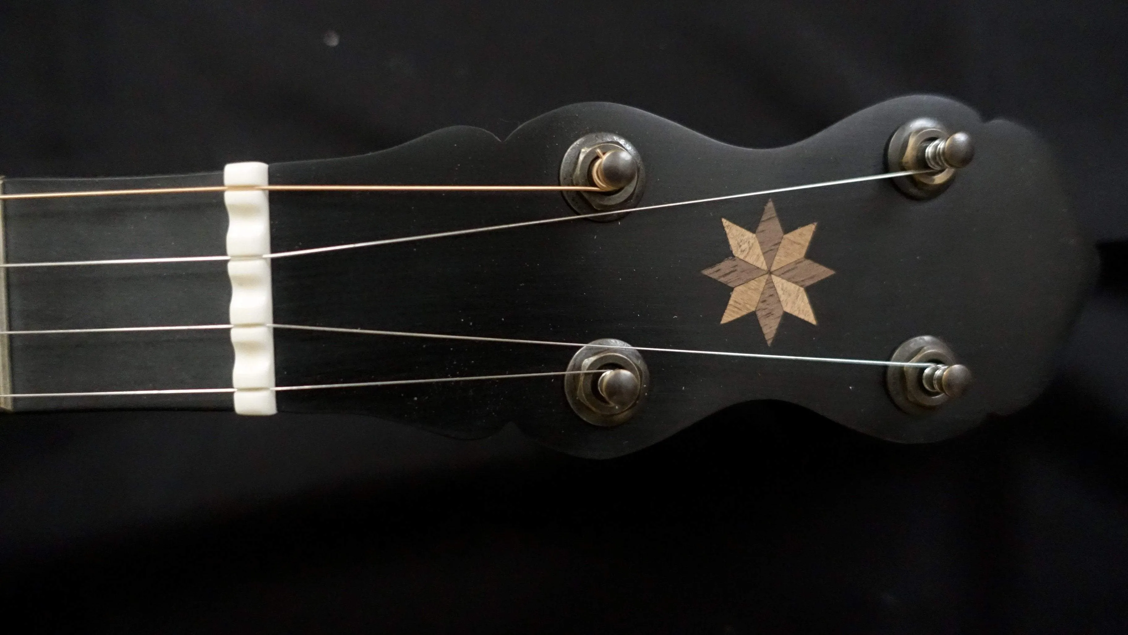 Pisgah 11" Wonder 5 String Banjo