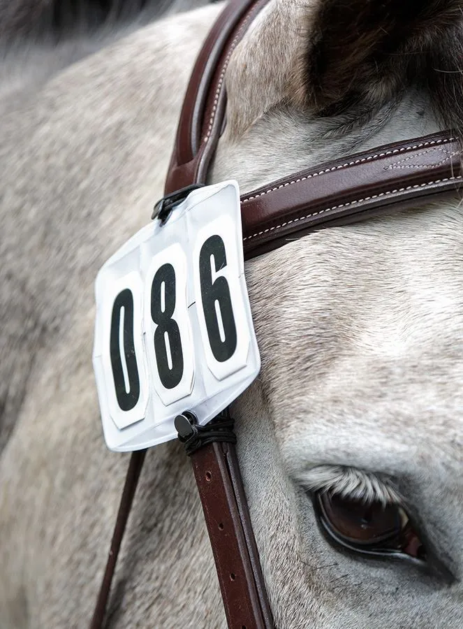 Shires Competition Number Kit