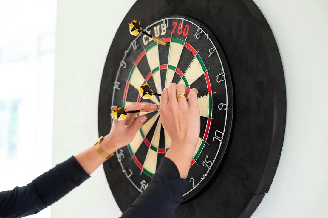 Steel Tip Dartboard Club 700