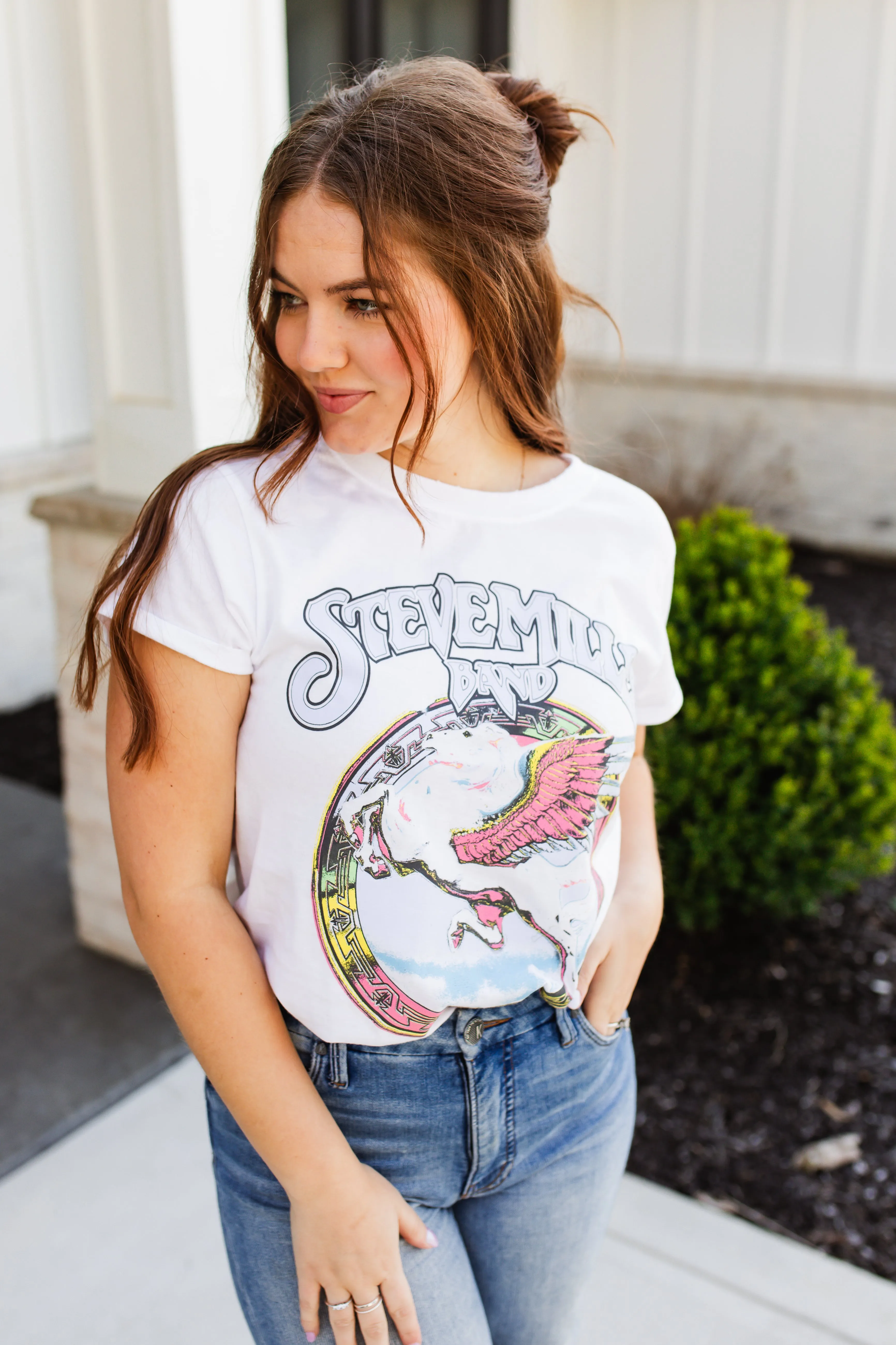 steve miller book of dream