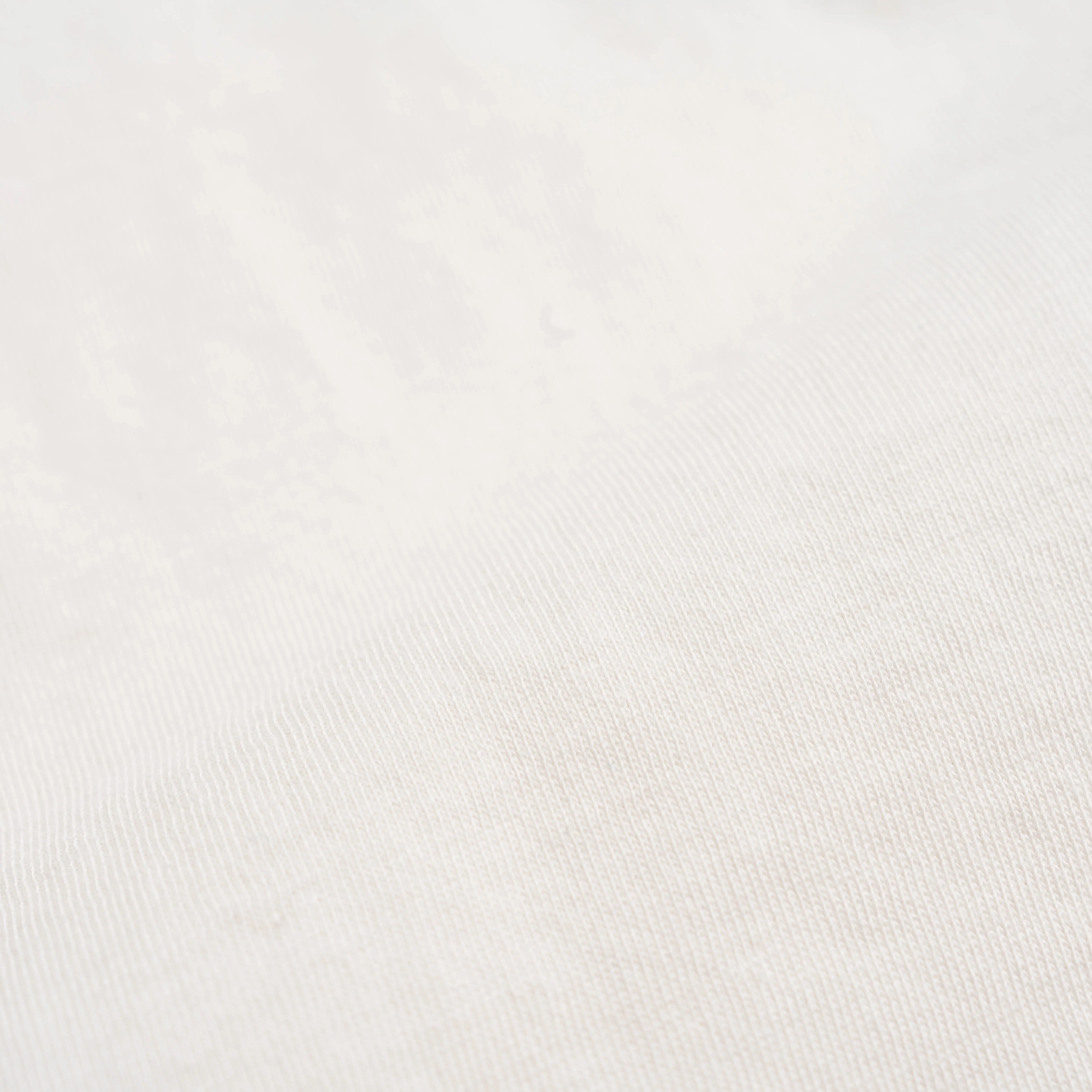 TNF Evolution Tee White Dune NF0A8B6MQLI1